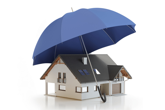 Property Insurance 